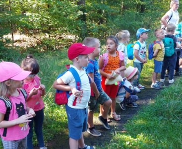 'Liski' w Nadleśnictwie Rudziniec - powiększ