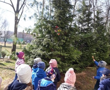 'Tygryski' podczas szukania wiosennego gaika. - powiększ