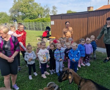 Biedronki podczas obserwacji zwierząt. - powiększ